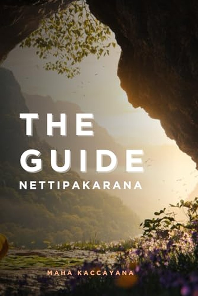 Front cover of The Netti