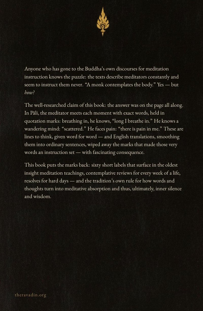 The back cover of Hidden in Plain Sight